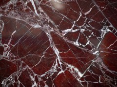 土耳其紫羅紅 土耳其紫羅紅